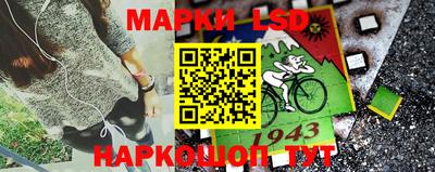 спайс Гагарин